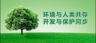 我國木門生產(chǎn)企業(yè)該往哪里走